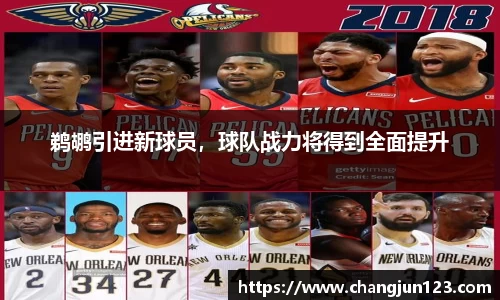 鹈鹕引进新球员，球队战力将得到全面提升